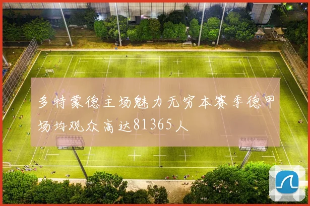 多特蒙德主场魅力无穷本赛季德甲场均观众高达81365人